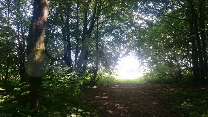 Участок 8 сот. (ИЖС)