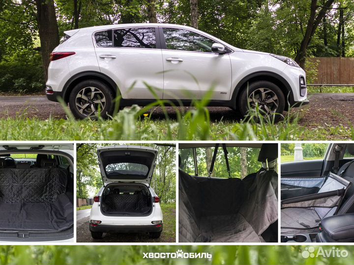 Зоотакси 24/7 – Перевозка собак, кошек и не только