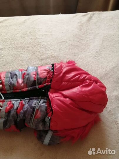 Комбинезон для маленькой собаки