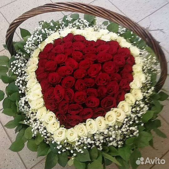 101 Роза Цветы Букеты 501 51 25 Роз Доставка