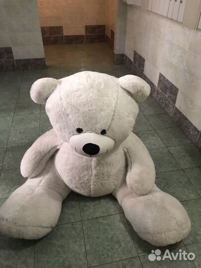 Плюшевый мишка