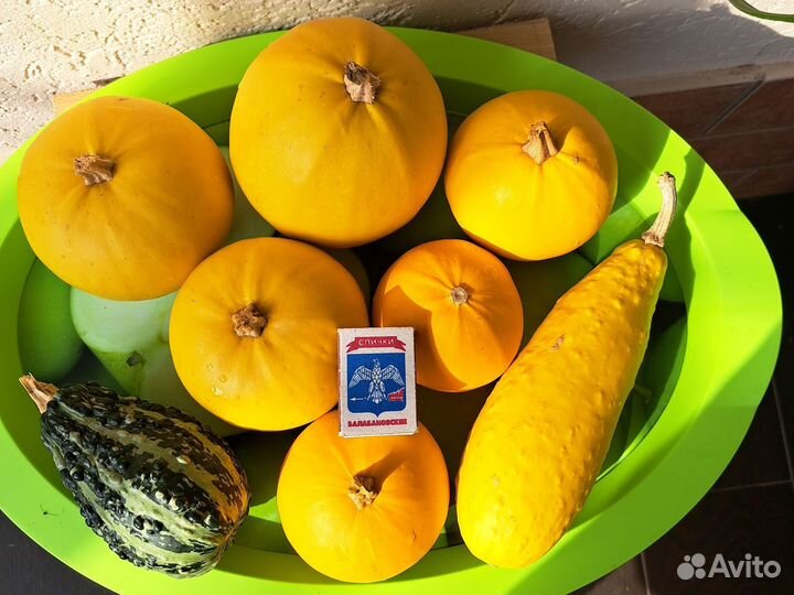 Тыква для декора