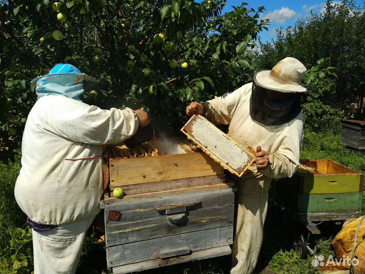 Мёд натуральный