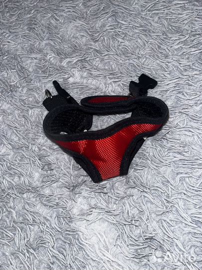 Одежда для маленьких собак