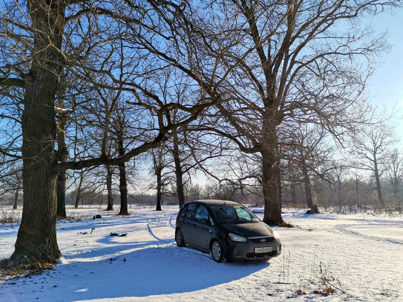 Ford C-MAX: фото владельца