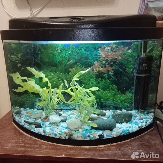 Аквариум 80л