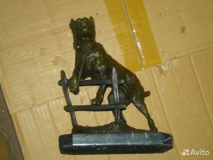 Питбуль, Бык биржа уолл стрит брокер мотоциклист