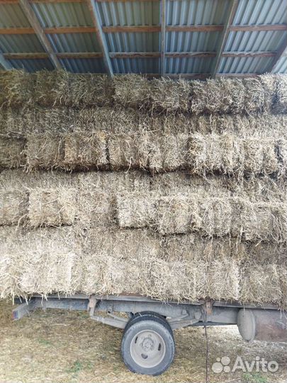 Гороховая солома