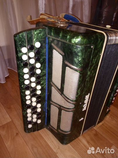 Баян Школьник