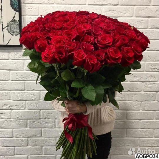 101 красная роза Доставка