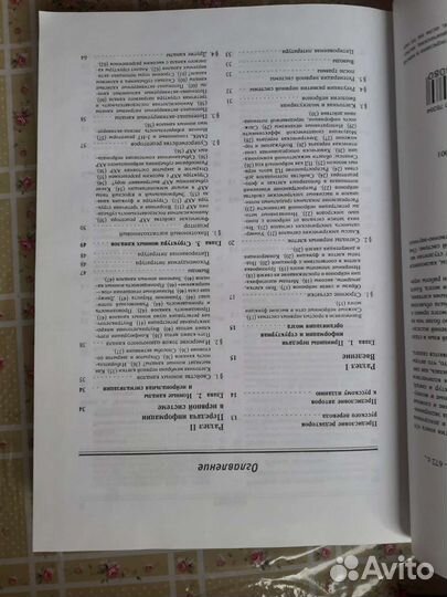 От нейрона к мозгу