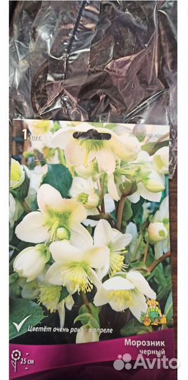 Морозник черный, 1 корень, поиск Агрохолдинг