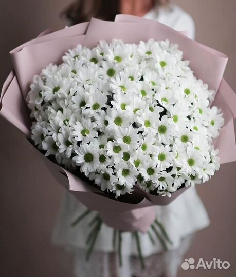 Букет из 15 кустовых хризантем Букет Москва