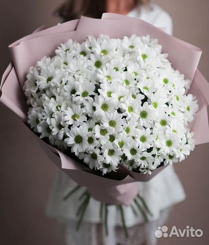 Букет из 15 кустовых хризантем Букет Москва