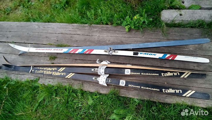 Лыжи охотничьи