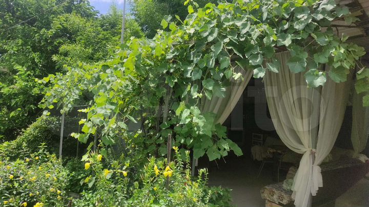 Комната 20 м², 1/2 эт.