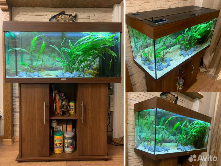 Аквариум Juwel Rio 180 и принадлежности