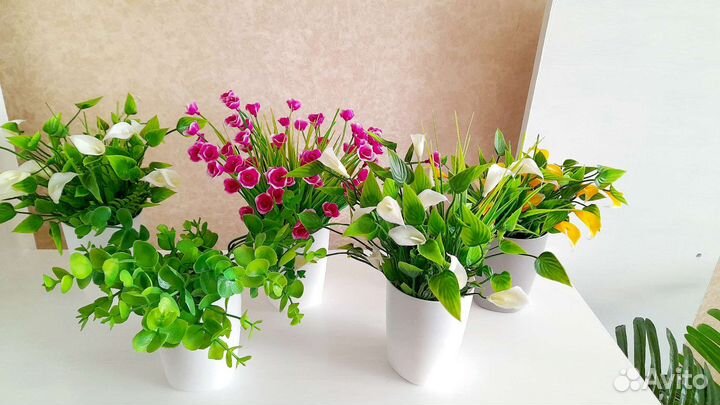 Каллы белые