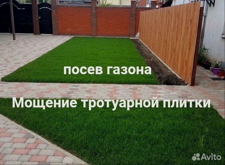 Газон под ключ