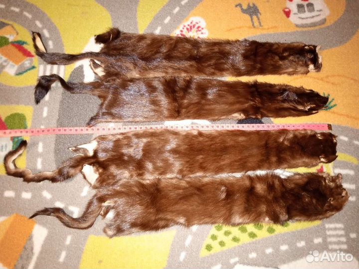 Шкурки норки СССР