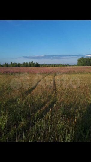Участок 3,5 га (СНТ, ДНП)