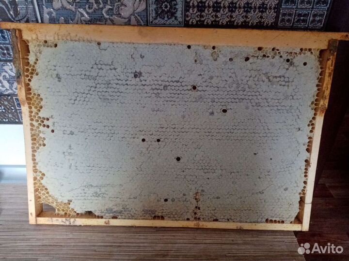 Рамка меда в сотах