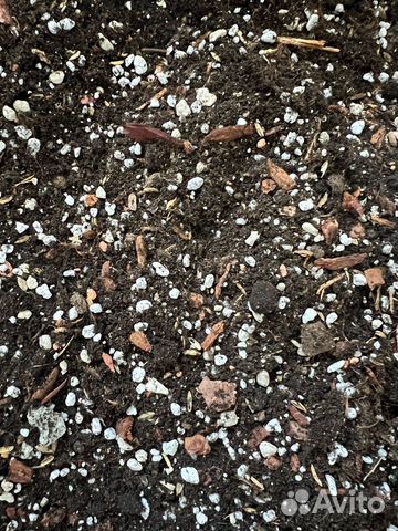 Грунт для растений купить в Москве | Товары для дома и дачи | Авито