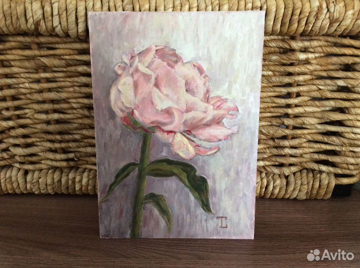 Пион картина маслом миниатюра
