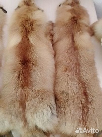 Шкуры лисы. Лиса огневка