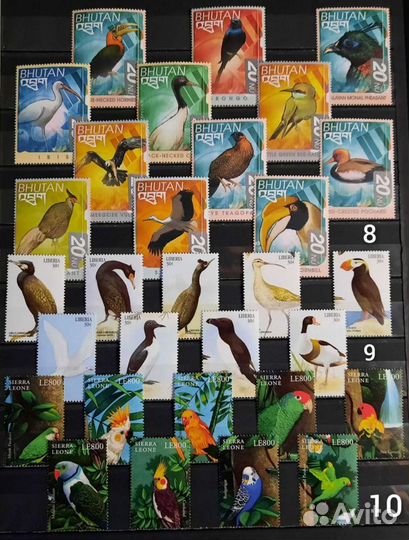 Коллекция фауна 60-90х 4 (чистые )