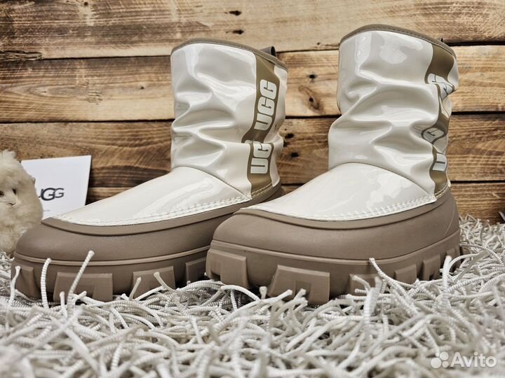 Сапоги UGG Brellah New Must Seed женские оригинал