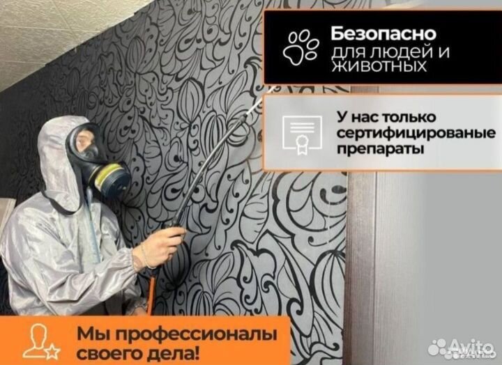 Уничтожение тараканов клопов блох мышей клещей ос