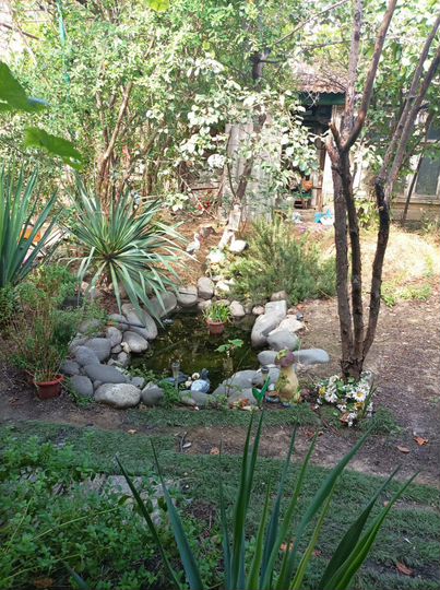 Дом 120 м² на участке 4,5 сот.