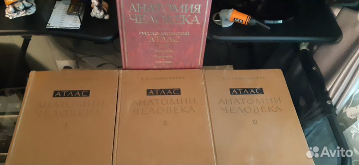 Атлас Синельникова