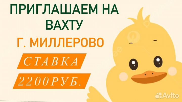 Вахтовый метод обвалка-утки г.Миллерово
