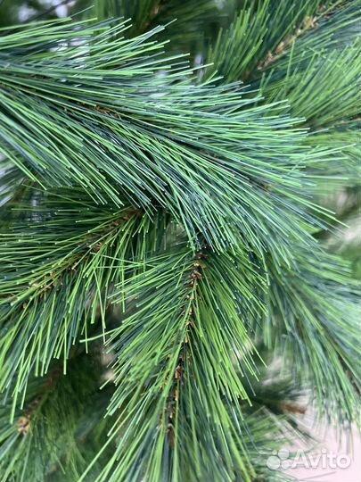 Елка новогодняя