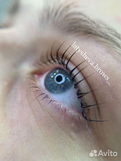 Мастер-бровист