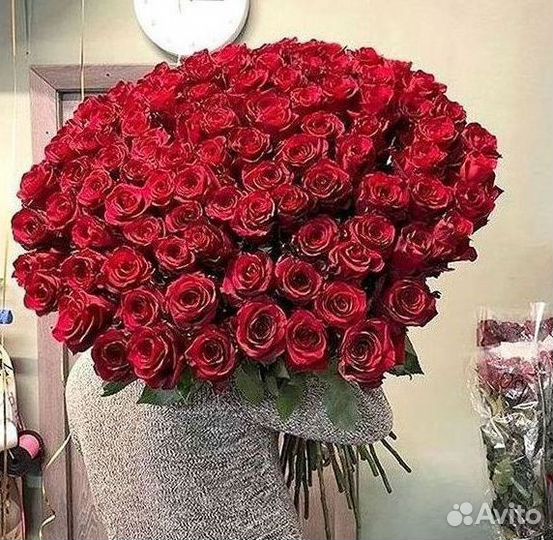 Высокие розы Гигантские Розы 150 160 170 180 190см