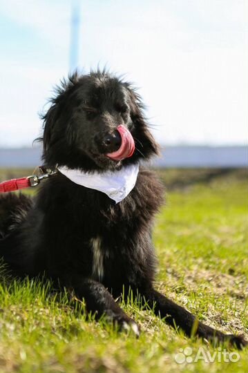 Молодой и уже узник приюта