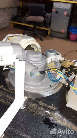 Ремонт стиральных и посудомоечных машин. выезд бес