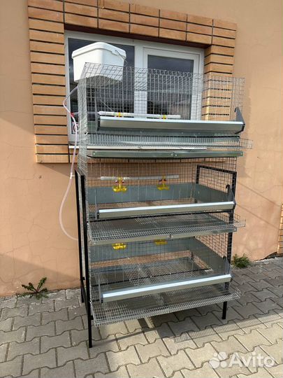 Клетка для кур несушек каркасная на 30 голов