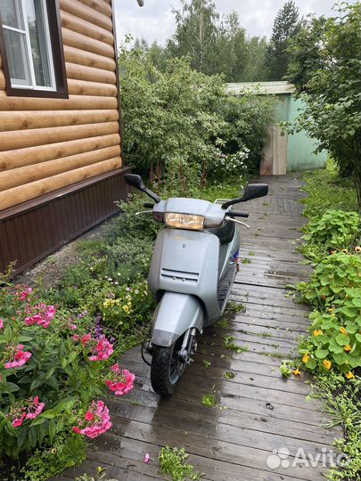 Honda lead 50