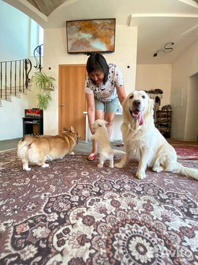 Передержка животных Район Сельхоз Института/юмр