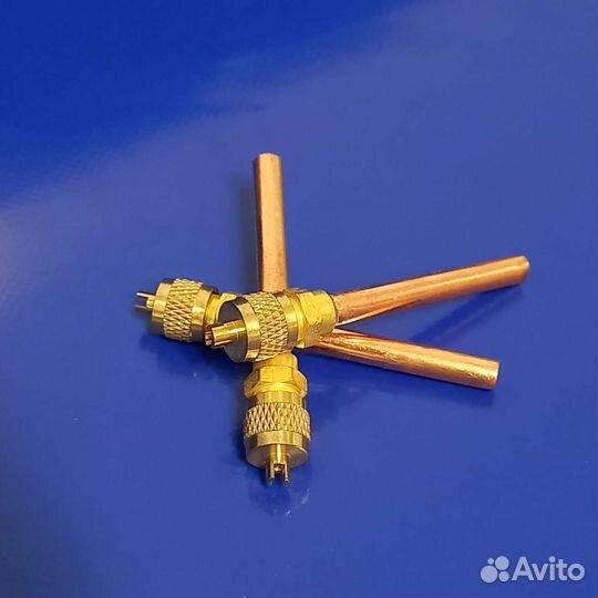 Клапан шредера