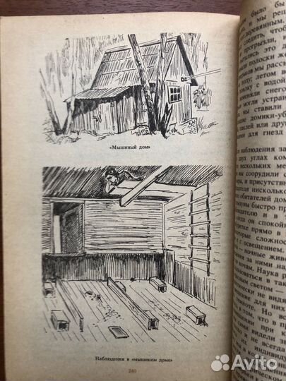 Звери в природе. В. Смирин. 1991г