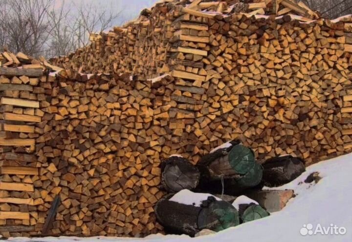 Дрова летней заготовки