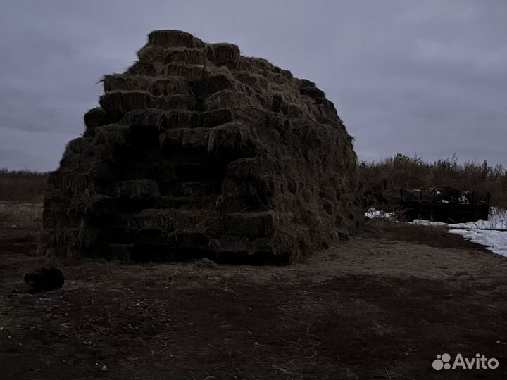 Сено в тюках