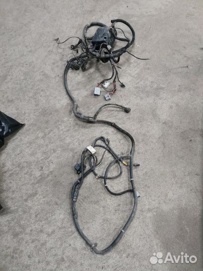 Проводка двс Заз Chance Lanos седан 1.3 модель