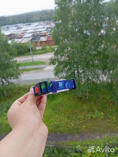 Продам для собак амуницию