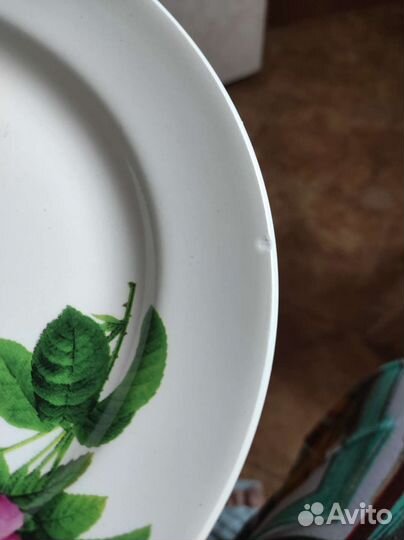 Тарелки обеденные 